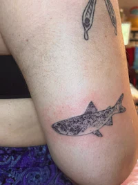 a tattoo of a shark on a woman's arm