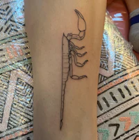 a tattoo of a scorpion on a woman's leg